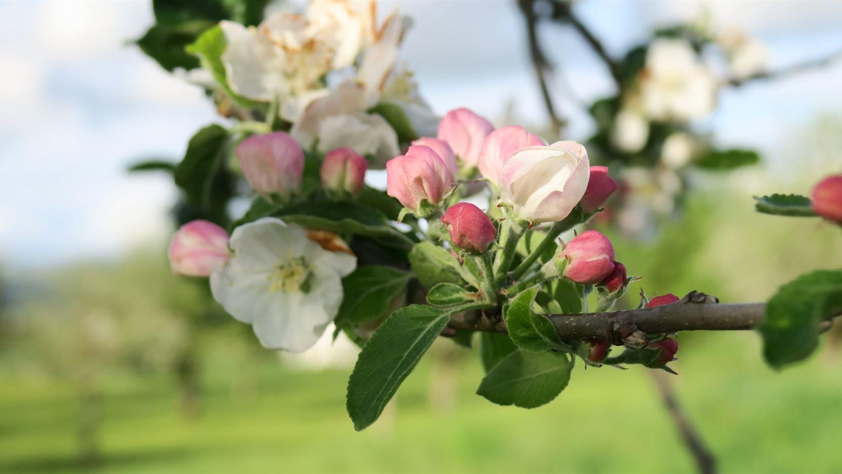 eyecatcher-gottesdienst